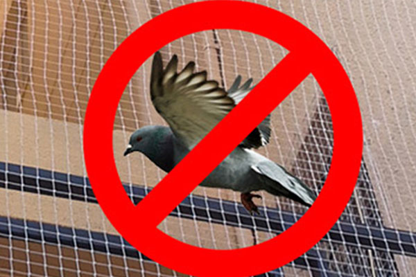 Pigeon netting service in bangalore